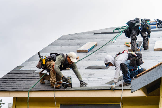 Professional Storm Damage Roof Repair technician working in Española, NM